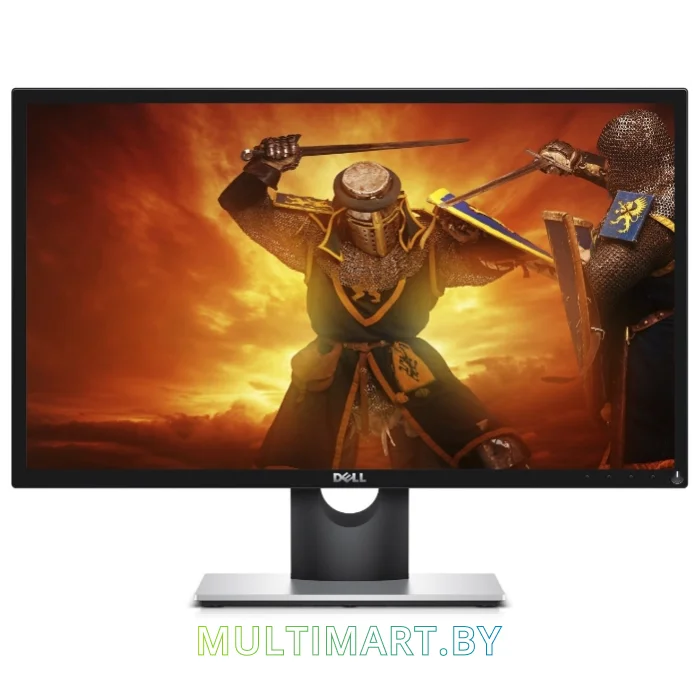 Монитор Dell SE2417HG